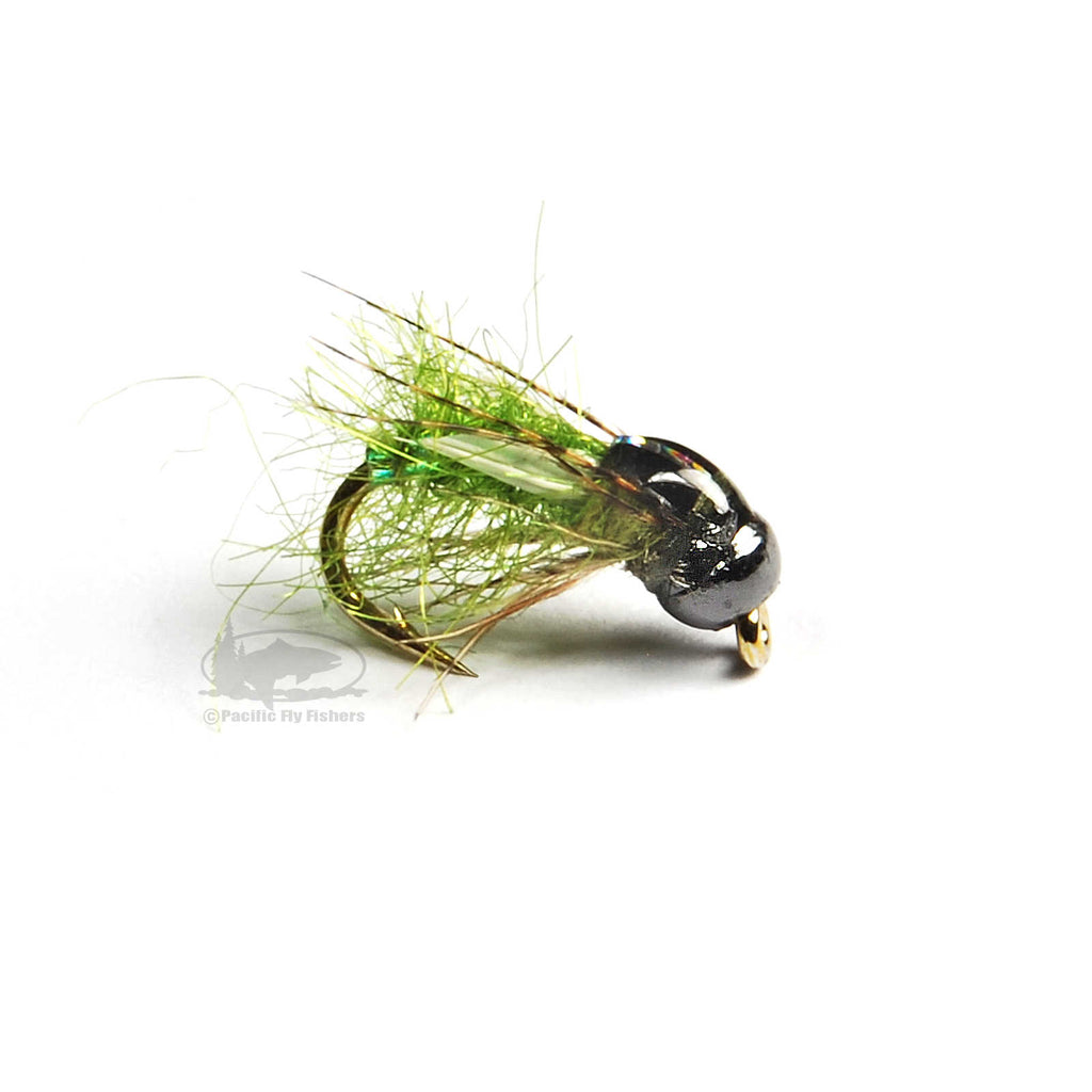 Thrift Shop Caddis - Caddis Pupa
