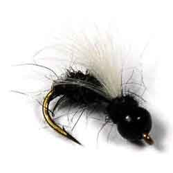 Tungsten Drowned Ant