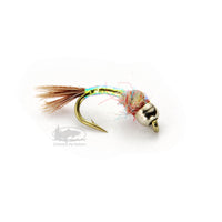 Tungsten Rainbow Warrior - Midge - Nymphs - Fly Fishing Flies