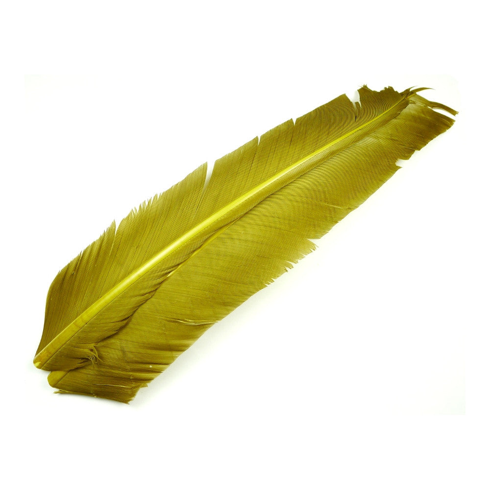 Turkey Biot Quills - BWO