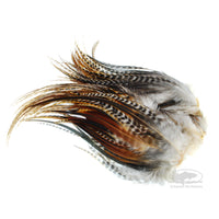 Whiting Bugger Packs - Barred Dark Ginger - Fly Tying Hackle