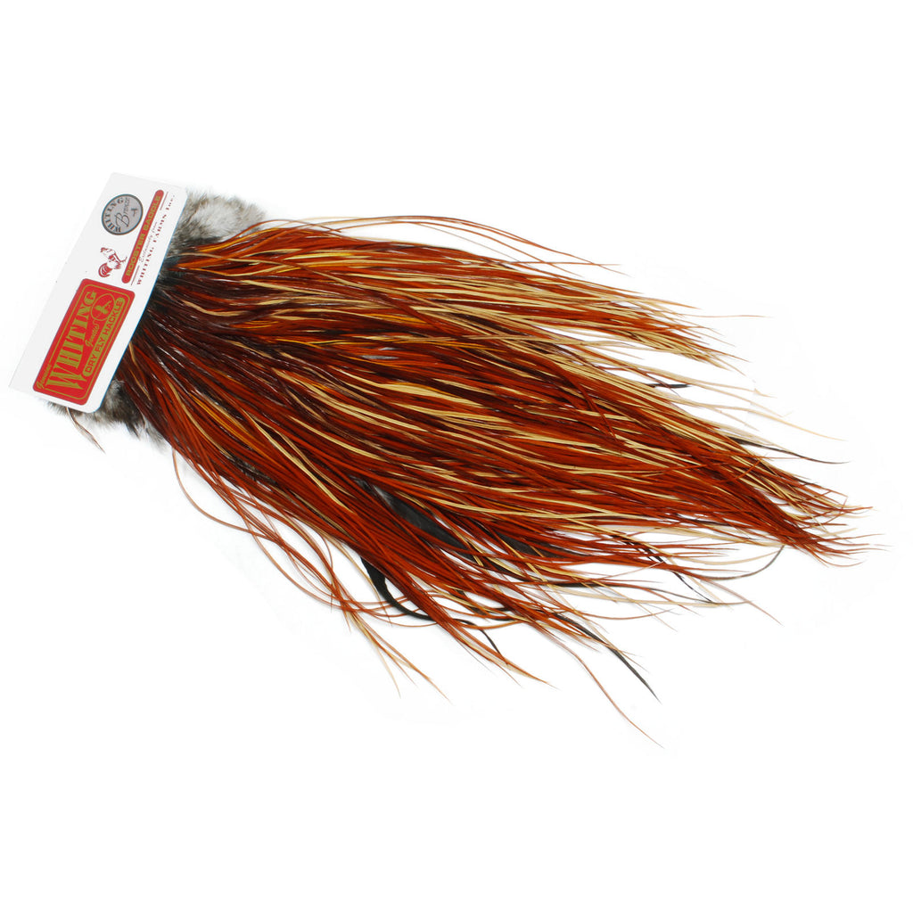 Whiting Dry Fly Saddle Hackle - Brown