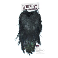 Whiting Genetic Spey Hackle - Black - Heron Substitute Spey Feathers