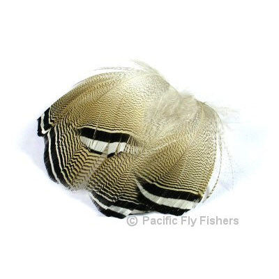 Wood Duck - Black/White - Pacific Fly Fishers