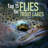 Top 15 Flies for Trout in Lakes