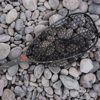 Fishpond Nomad Emerger Net 2.0 - Shadowcast Cast Camo 2.0