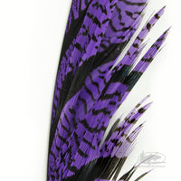 Lady Amherst Center Tail Feathers - Purple - Fly Tying