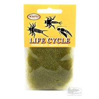 Life Cycle Dubbing - Caddis Olive - Wapsi