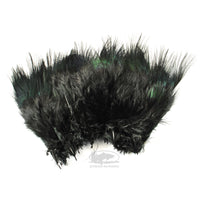 Ringneck Pheasant Rump Feathers - Black - Fly Tying Materials