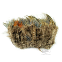 Ringneck Pheasant Rump Feathers - Natural - Fly Tying Materials