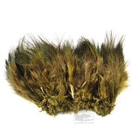 Ringneck Pheasant Rump Feathers - Olive - Fly Tying Materials
