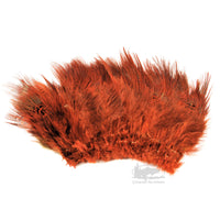 Ringneck Pheasant Rump Feathers - Orange - Fly Tying Materials