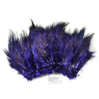 Ringneck Pheasant Rump Feathers - Purple - Fly Tying Materials