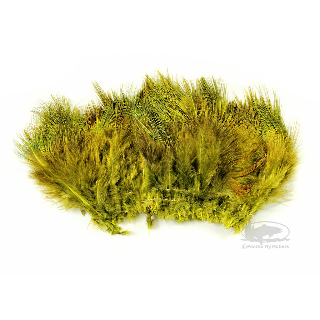 Ringneck Pheasant Rump Feathers | Pacific Fly Fishers
