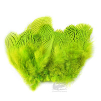 Silver Pheasant Feathers - Chartreuse - Fly Tying