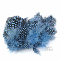 Strung Guinea Feathers - Baby Blue