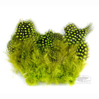 Strung Guinea Feathers - Chartreuse