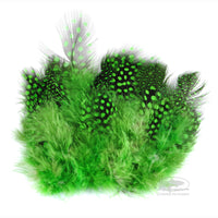 Strung Guinea Feathers - Highlander Green