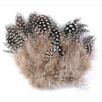 Strung Guinea Feathers - Natural