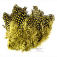 Strung Guinea Feathers - Olive