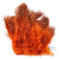 Strung Guinea Feathers - Orange