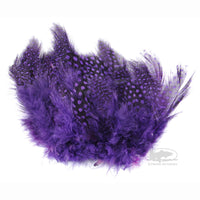 Strung Guinea Feathers - Purple
