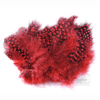 Strung Guinea Feathers - Red