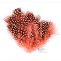 Strung Guinea Feathers - Shrimp Pink