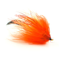Haley's Comet - Pacific Fly Fishers