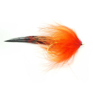 Haley's Comet - Pacific Fly Fishers