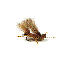 Henry's Fork Stone - Gold - Pacific Fly Fishers