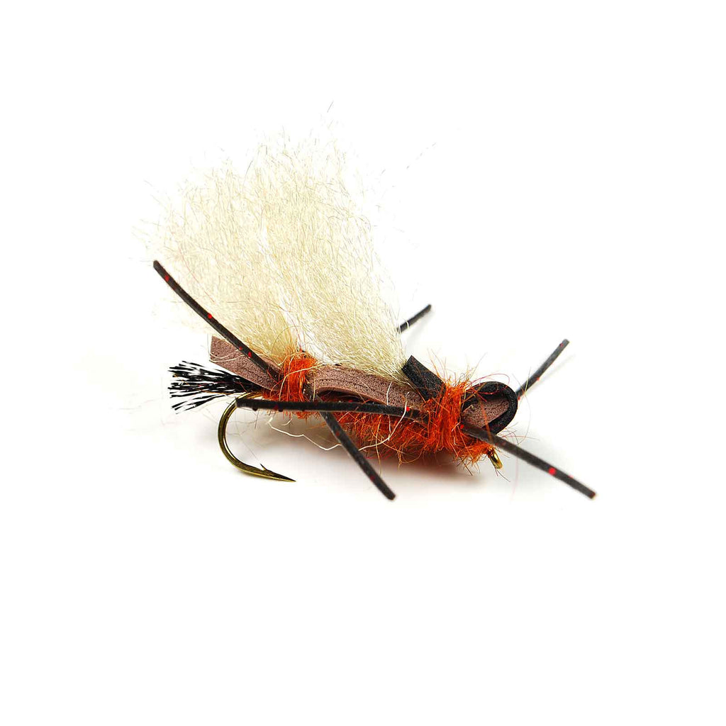 Henry's Fork Stone - Salmon - Pacific Fly Fishers