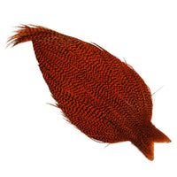 Whiting High & Dry Hackle Cape - Grizzly Orange