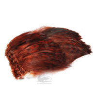 Wapsi Barred Strung Neck Hackle -  Brown Grizzly - Fly Tying Materials