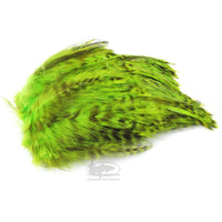 Wapsi Barred Strung Neck Hackle -  Fl Chartreuse Grizzly - Fly Tying Materials