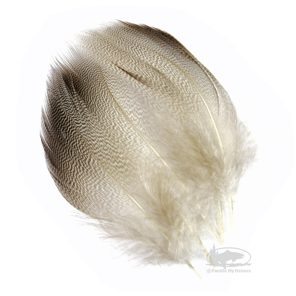 Bronze Mallard Feathers - Select Jumbo Pairs - Spey Wings - Fly Tying Materials