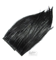Hareline Bugger Hackle Patches - Black - Hackle for Wooly Bugger Fly Tying
