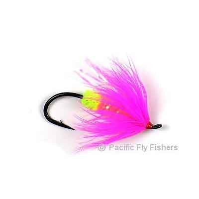Cabollera  Pacific Fly Fishers