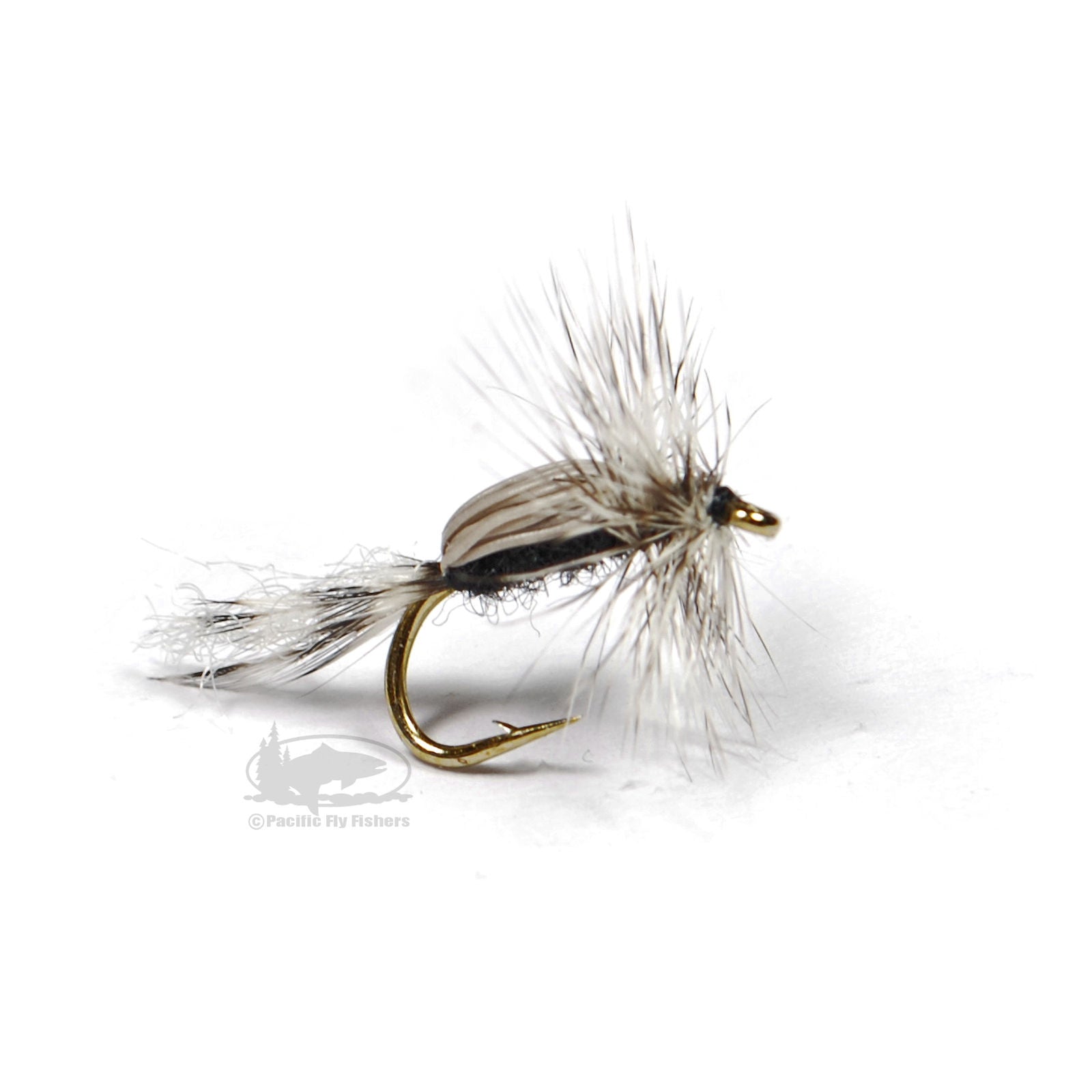 Chan's Lady McConnell | Pacific Fly Fishers