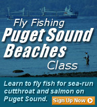 Fly Fishing Puget Sound Beach Classes