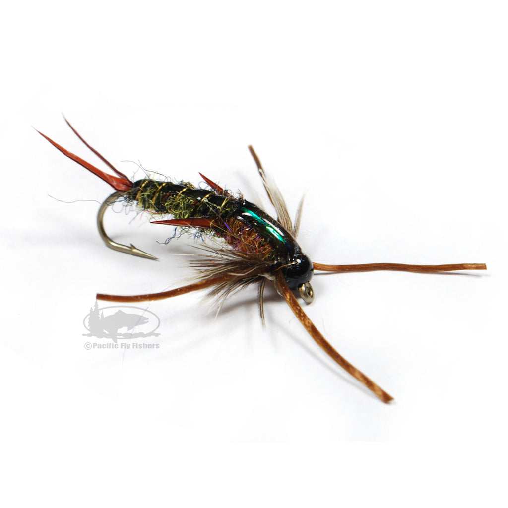 Stonefly Nymphs  Pacific Fly Fishers