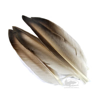 Duck Quill Wing Feathers - Natural Mallard Gray