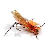 Dunnigan's Young Grasshoppa - Peach