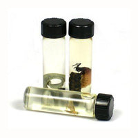 Glass Specimen Vials - 4 pk