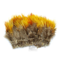 Golden Pheasant Body Feathers - Natural Golden Yellow - Fly Tying Materials