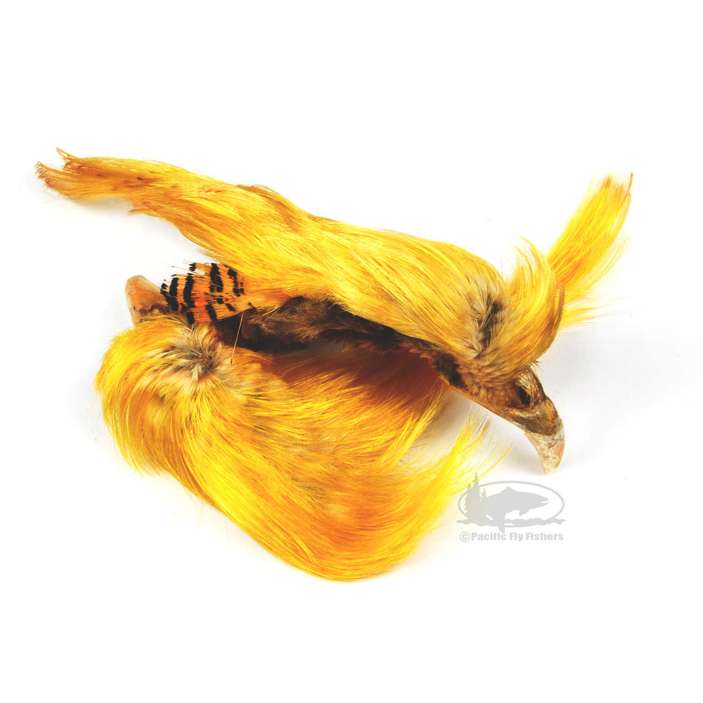 Golden Pheasant Crests - 2-Pack - Fly Tying