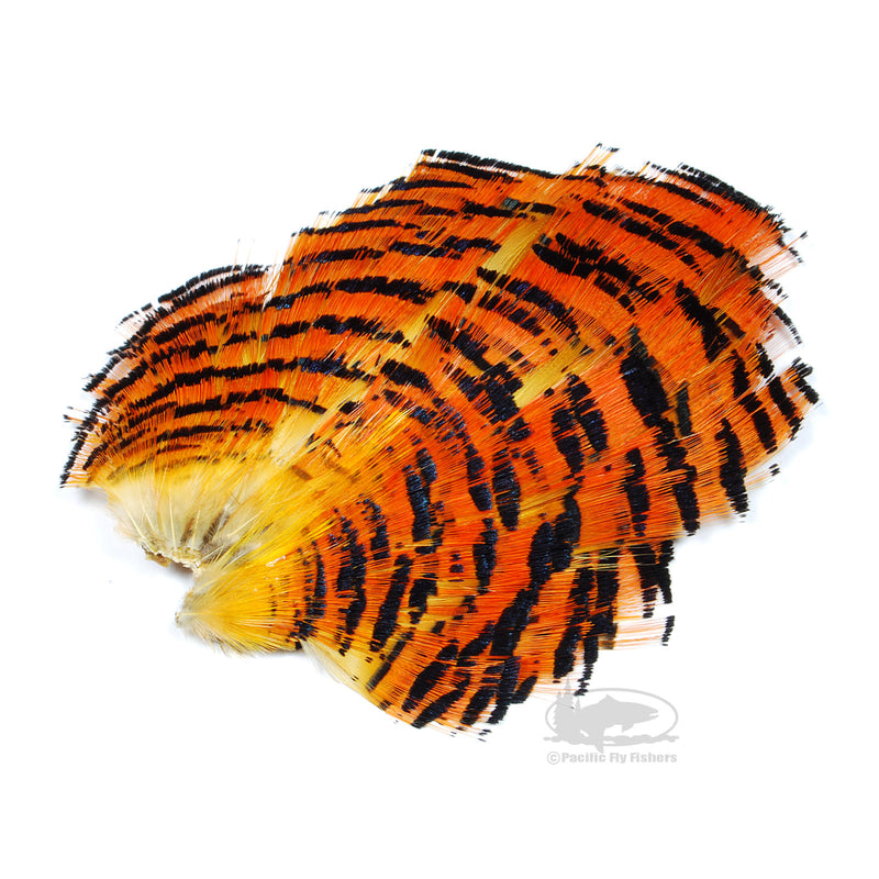 20 Golden Pheasant Neck Feathers - Orange Tippet Feathers For Fly Tying, Jewelry & Crafts