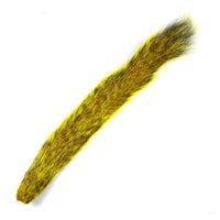 Gray Squirrel Tail - Yellow