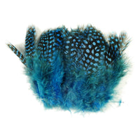 Guinea Feathers - Brilliant Blue