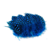 Guinea Feathers - Kingfisher Blue